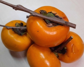 実り。食卓を豊かに飾る