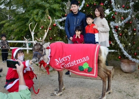 クリスマスの衣装に身を包んだトナカイと笑顔で記念撮影をする参加者＝神戸市中央区港島南町７、神戸どうぶつ王国