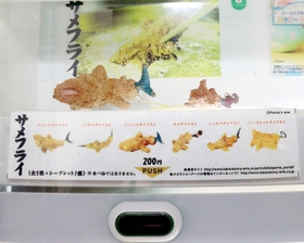 さまざまなサメフライが並ぶ自販機＝神戸市東灘区御影本町４