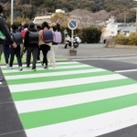 ドライバーの目を引くように、緑と白の２色にリニューアルされた横断歩道＝神戸市須磨区須磨寺町３