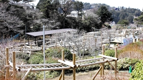 国内最大規模で甲子園球場６個分の敷地は１日かかっても遊びきれない広さだ＝神戸市灘区六甲山町、六甲山アスレチックパーク・グリーニア