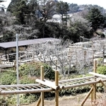 国内最大規模で甲子園球場６個分の敷地は１日かかっても遊びきれない広さだ＝神戸市灘区六甲山町、六甲山アスレチックパーク・グリーニア