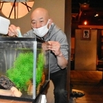 焼き肉店「カルビ越え」の店内でウーパールーパーを飼育している様子＝神戸市中央区中山手通１