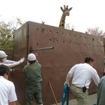神戸市立王子公園から岩手県への移送されるキリンの「ひまわり」＝神戸市立王子動物園提供