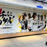 阪神タイガース