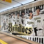 オリックス・バファローズ