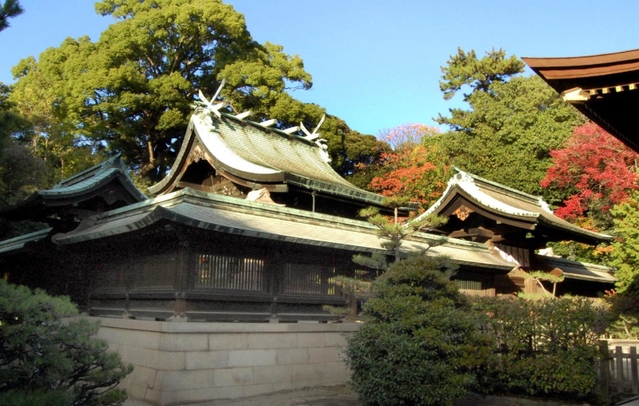 高さ約３０メートルのクスノキなどに囲まれた本殿＝神戸市東灘区御影郡家２