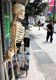 道行く人を見守る骨格模型＝神戸市東灘区住吉宮町７ 