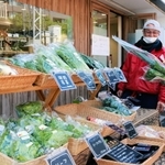 有機野菜が並ぶ「ろっこうおーがにっく市」＝神戸市灘区八幡町４、神戸学生青年センター