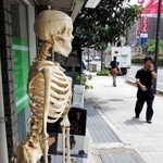 道行く人を見守る骨格模型＝神戸市東灘区住吉宮町７ 