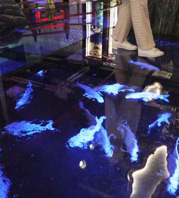 足元にコイが泳ぐフロア＝神戸市中央区新港町