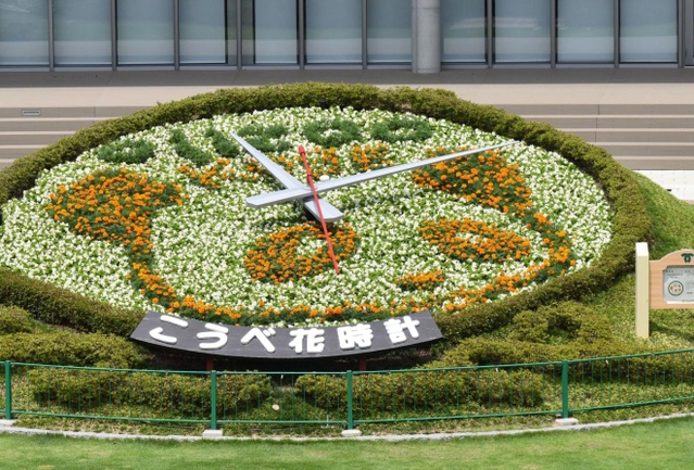 旬の花でタンタンが描かれたこうべ花時計＝神戸市中央区加納町６