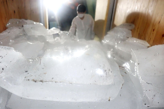 氷室の中は天然氷で満たされている＝神戸市灘区六甲山町、六甲枝垂れ