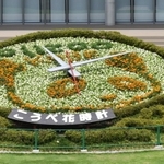 旬の花でタンタンが描かれたこうべ花時計＝神戸市中央区加納町６
