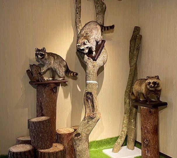 新たにオープンする外来生物展示センターの館内イメージ（神戸市提供）