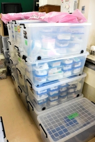 大量に保管されているキノコの標本＝神戸市東灘区御影石町４