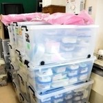 大量に保管されているキノコの標本＝神戸市東灘区御影石町４