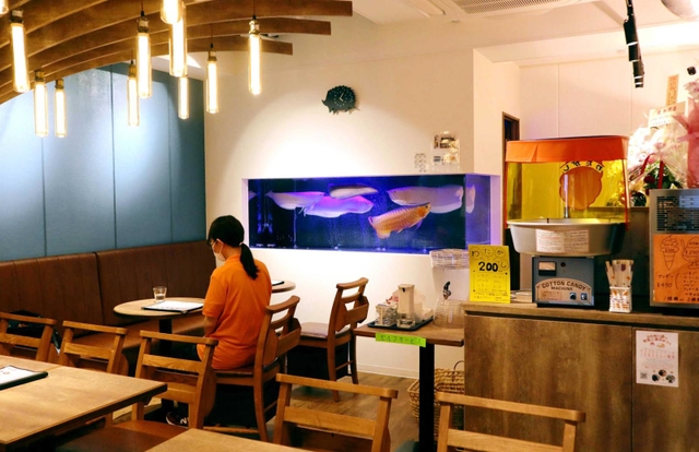食事もできる１階のカフェスペース。大きなアロワナがゆったり泳ぐ水槽も＝神戸市東灘区甲南町３
