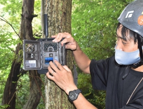 シカの監視体制強化のため設置されたセンサーカメラ＝神戸市東灘区、六甲山中