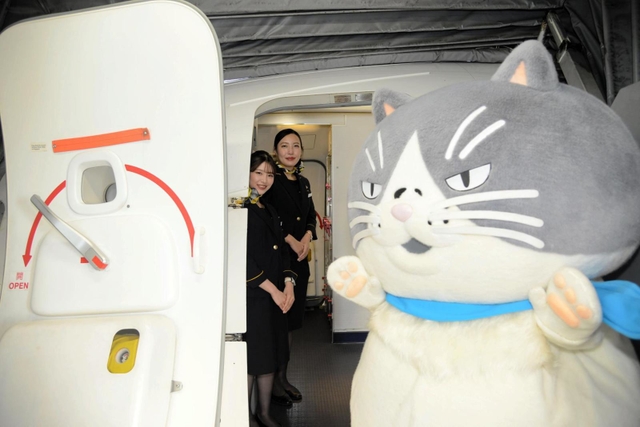 スカイマークの機体に乗り込むマル＝神戸空港