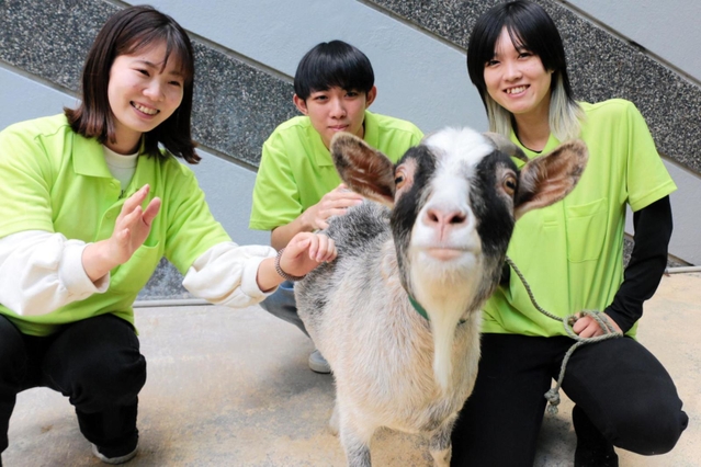 神戸動植物環境専門学校の学生とヤギの花ちゃん＝神戸市東灘区向洋町中１