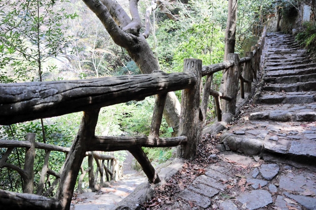 登山道沿いに連なる擬木の手すり＝神戸市中央区葺合町