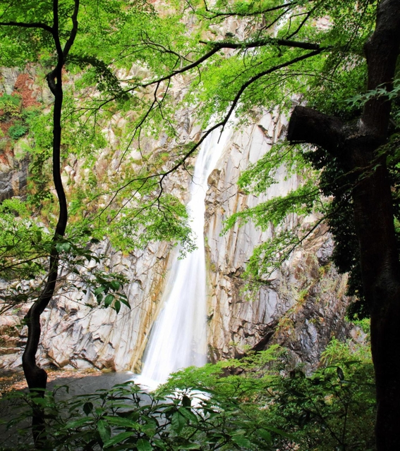 勢いよく流れ落ちる布引の滝の「雄滝」。まだ目にしたことがない…（神戸市提供）