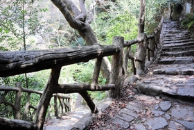 登山道沿いに連なる擬木の手すり＝神戸市中央区葺合町