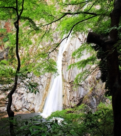 勢いよく流れ落ちる布引の滝の「雄滝」。まだ目にしたことがない…（神戸市提供）