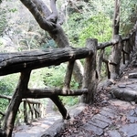 登山道沿いに連なる擬木の手すり＝神戸市中央区葺合町