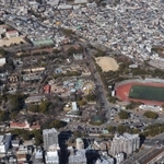 神戸市が大学誘致や施設の再整備に乗り出す王子公園＝１月、神戸市灘区