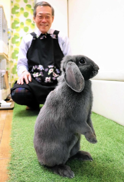 ウサギとゆったり触れ合えるラビットカフェ＝神戸市東灘区向洋町中１