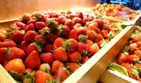 国産イチゴ３種の食べ比べコーナー。「おいＣベリー」など兵庫県産が並ぶことも＝神戸ポートピアホテル