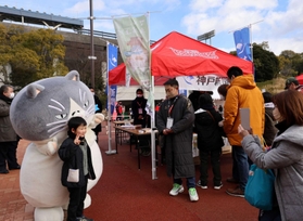 「かなしきデブ猫ちゃん」の主人公マルも登場し、会場を盛り上げた＝神戸市須磨区緑台、ユニバー記念競技場