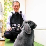 ウサギとゆったり触れ合えるラビットカフェ＝神戸市東灘区向洋町中１