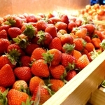 国産イチゴ３種の食べ比べコーナー。「おいＣベリー」など兵庫県産が並ぶことも＝神戸ポートピアホテル