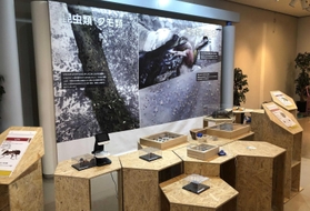 新たにオープンする外来生物展示センターの展示ホール（神戸市提供）