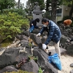 約９０年前に造成されたロックガーデン跡を再生させようと花の苗を植える久山敦さん（手前）ら＝神戸市東灘区魚崎北町８