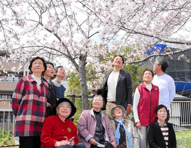 亡き夫婦をしのび、植樹した桜を見上げる遺族ら参加者＝神戸市灘区高徳町１