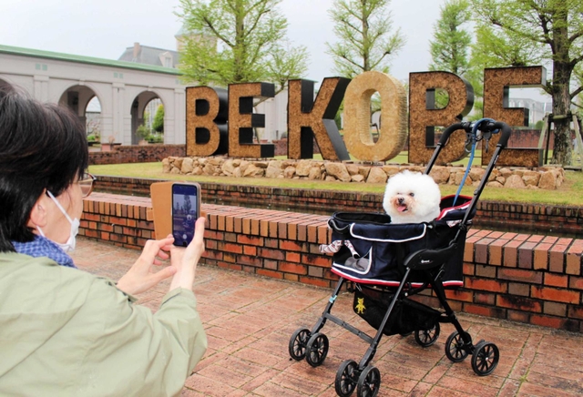 新設されたモニュメントの前で愛犬を撮影する来場者＝道の駅「神戸フルーツ・フラワーパーク大沢」