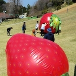 イチゴバルーンで遊ぶ子どもら＝六甲山アスレチックパーク・グリーニア