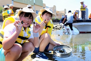 大小のアサリをたくさん見つけ、喜ぶ子どもたち＝兵庫区材木町