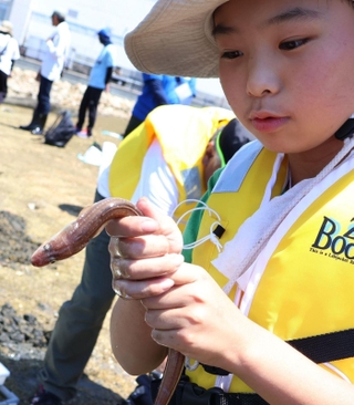 アナゴを初めて触り、「にゅるにゅるだ」と声を上げた＝兵庫区材木町