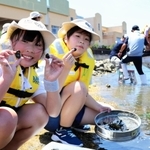 大小のアサリをたくさん見つけ、喜ぶ子どもたち＝兵庫区材木町