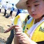アナゴを初めて触り、「にゅるにゅるだ」と声を上げた＝兵庫区材木町