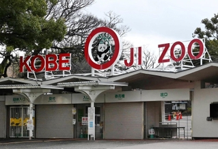 神戸市立王子動物園（資料写真）＝同市灘区