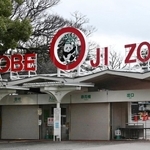 神戸市立王子動物園（資料写真）＝同市灘区