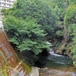 男子高校生が溺れた住吉川上流部＝神戸市東灘区