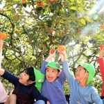 もぎたての柿を手にして喜ぶ子どもたち＝神戸市西区櫨谷町友清