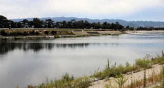 西宮、尼崎の市境を流れる武庫川。遠くに六甲山を望む（武庫川河川敷から撮影）